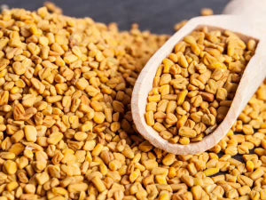 Fenugreek