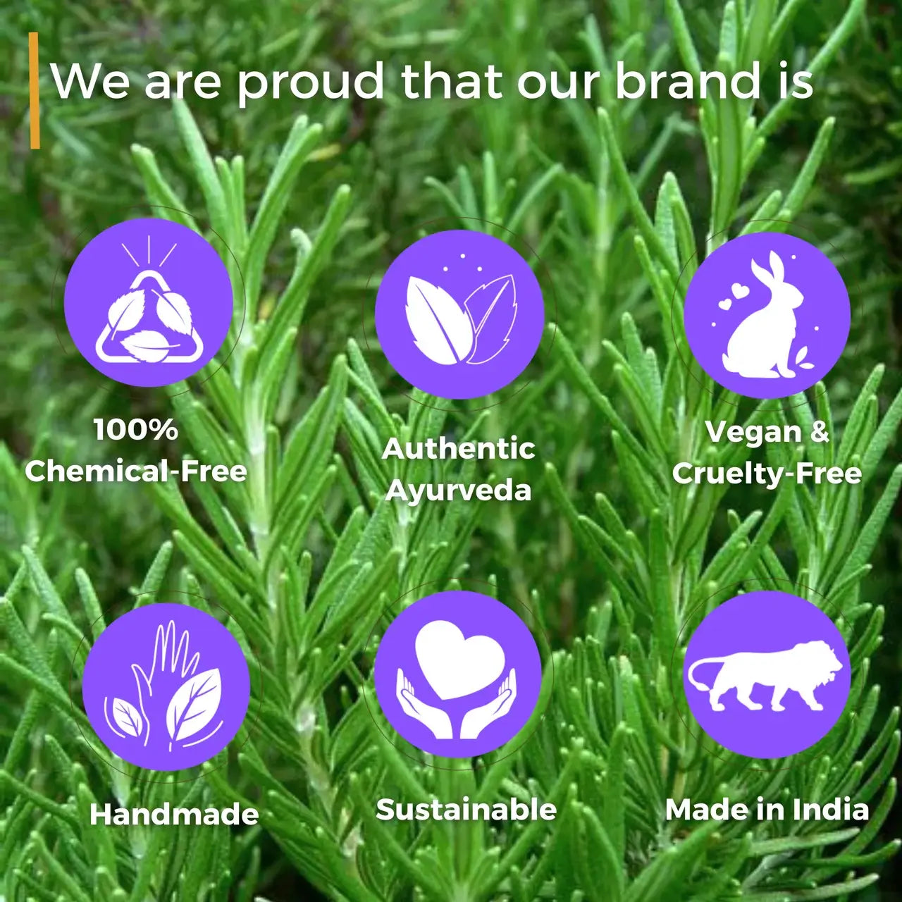 Rosemary Oil - Dandruff, Hair Growth & Frizz Control