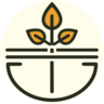 TheTribeConcepts™ logo