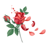 Handpicked Desi Godavari Roses