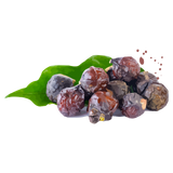 Organic Soap Berries