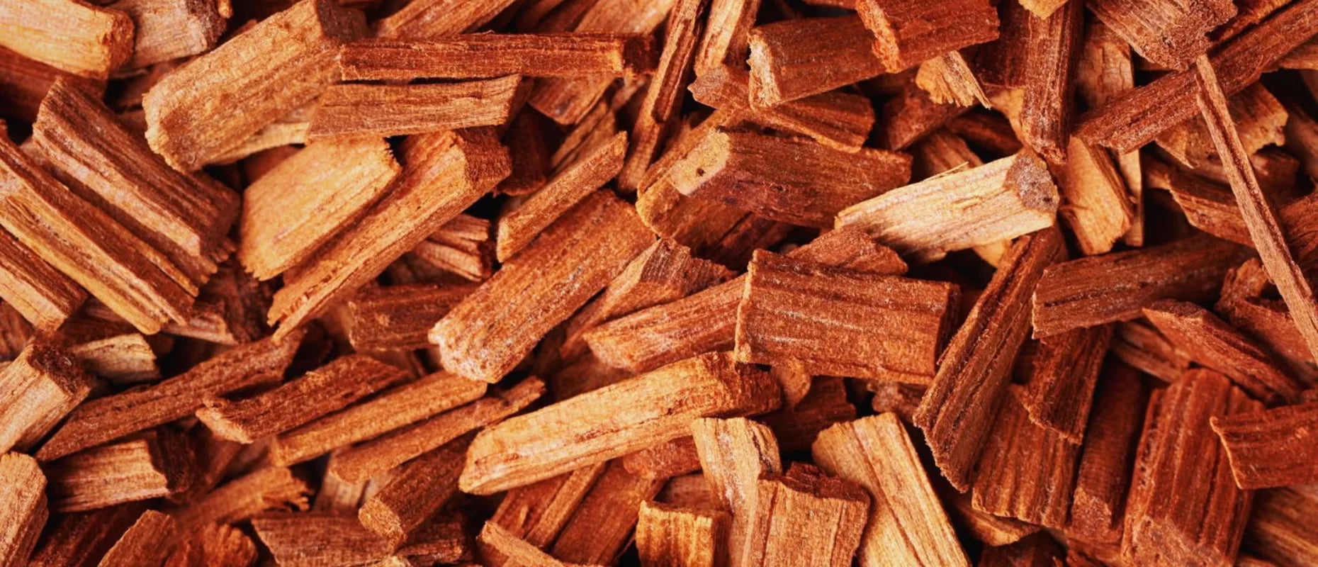 Sandalwood (Chandan)