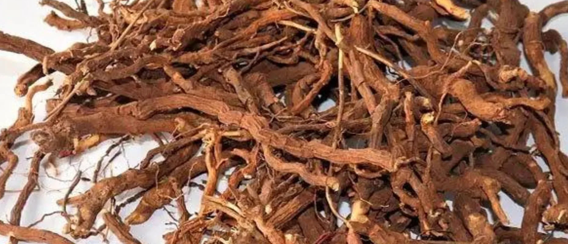 Hrivera (Fragrant Pavonia Root)