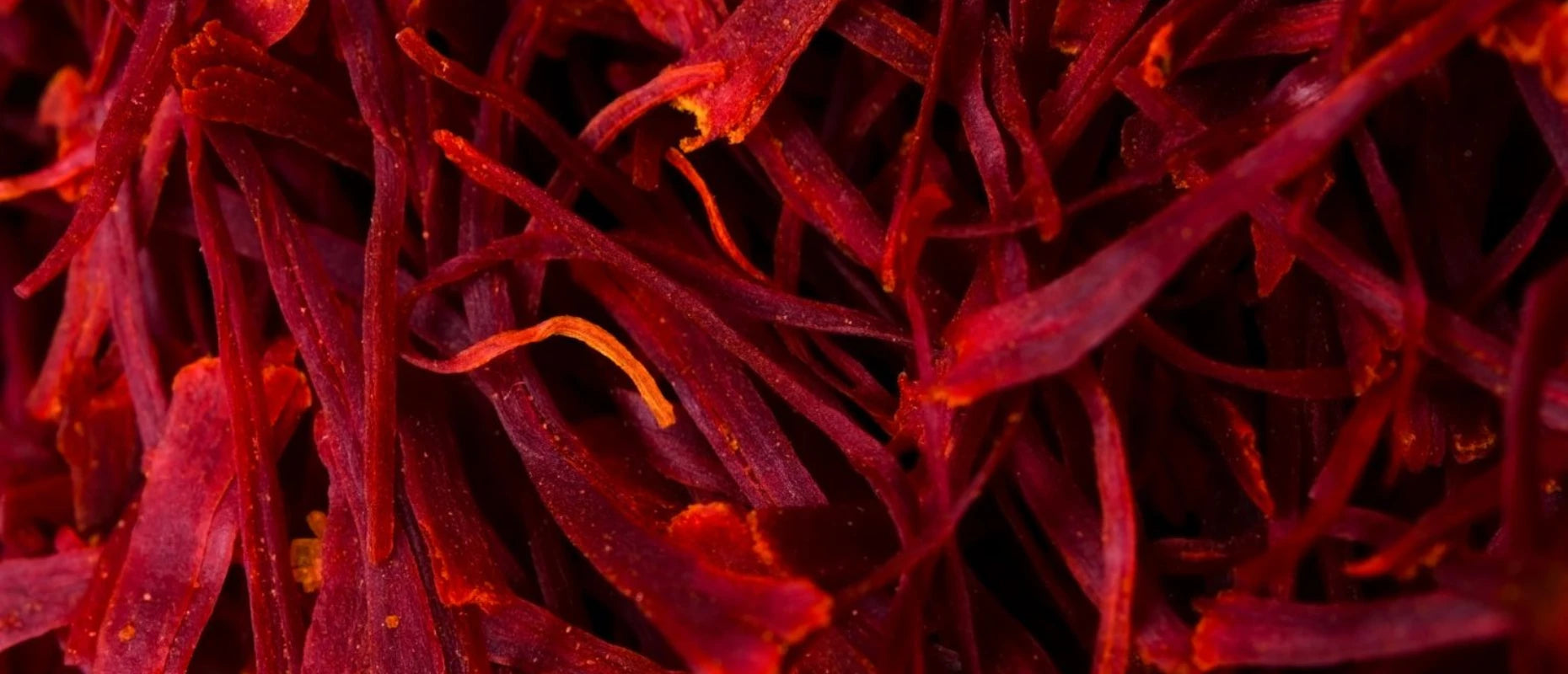 Kashmiri Saffron