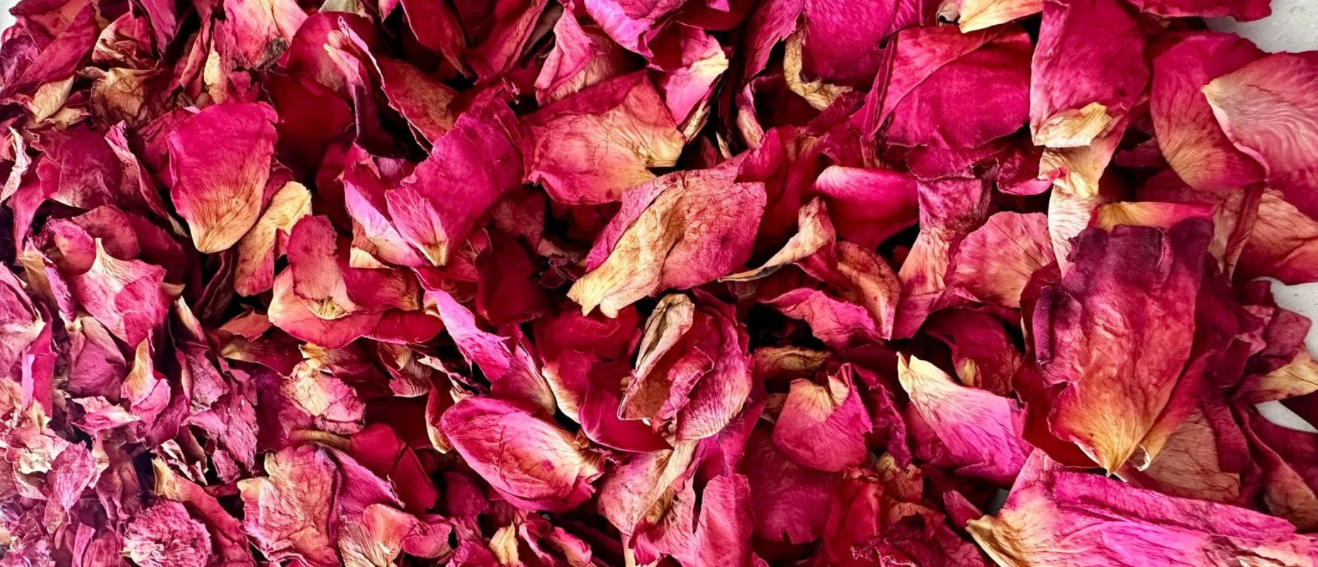 Sun-Dried Rose Petals (Rose)